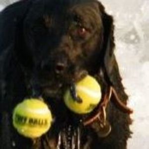 Meet your Posher, Kyle thomas